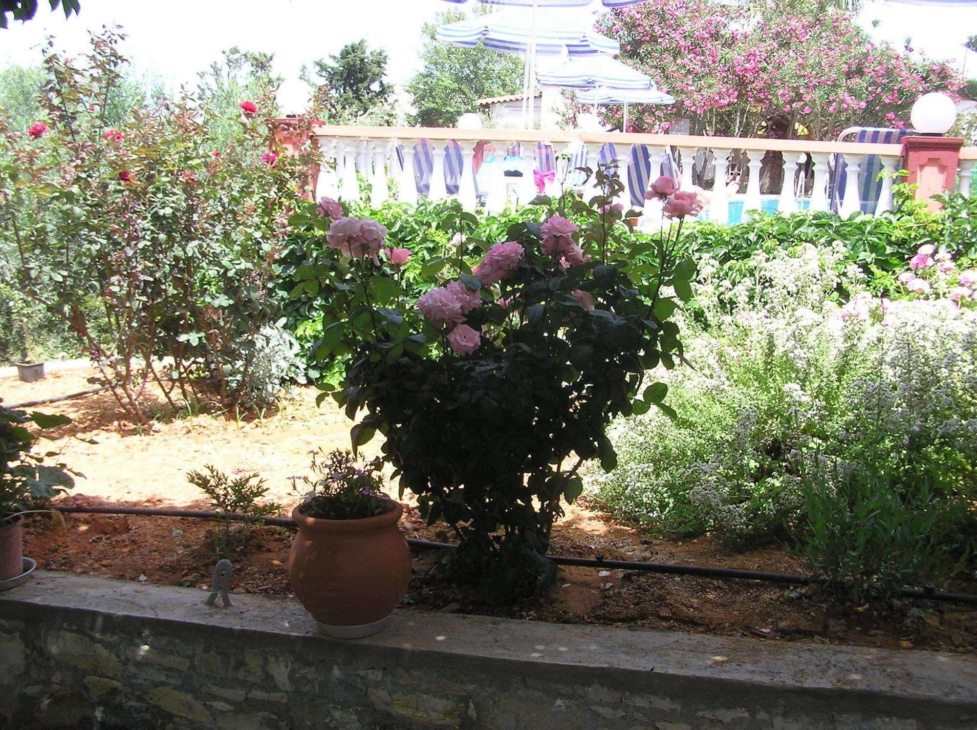 Aparthotel Knossos Pánormos Esterno foto