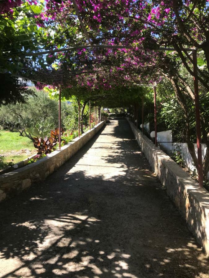 Aparthotel Knossos Pánormos Esterno foto